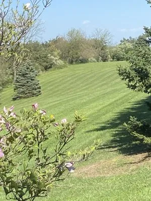 Simock-Jacoby Landscape and Design