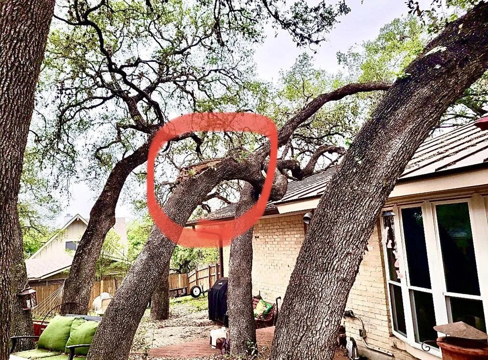 Top-rated yard maintenance with custom design across Live Oak, TX - Simon Does