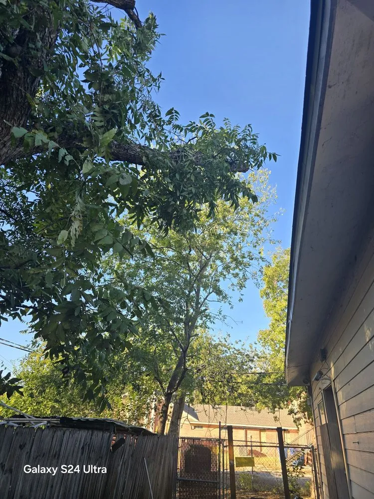 Trusted yard cleanup service for beautiful yards in Live Oak, TX by Simon Does