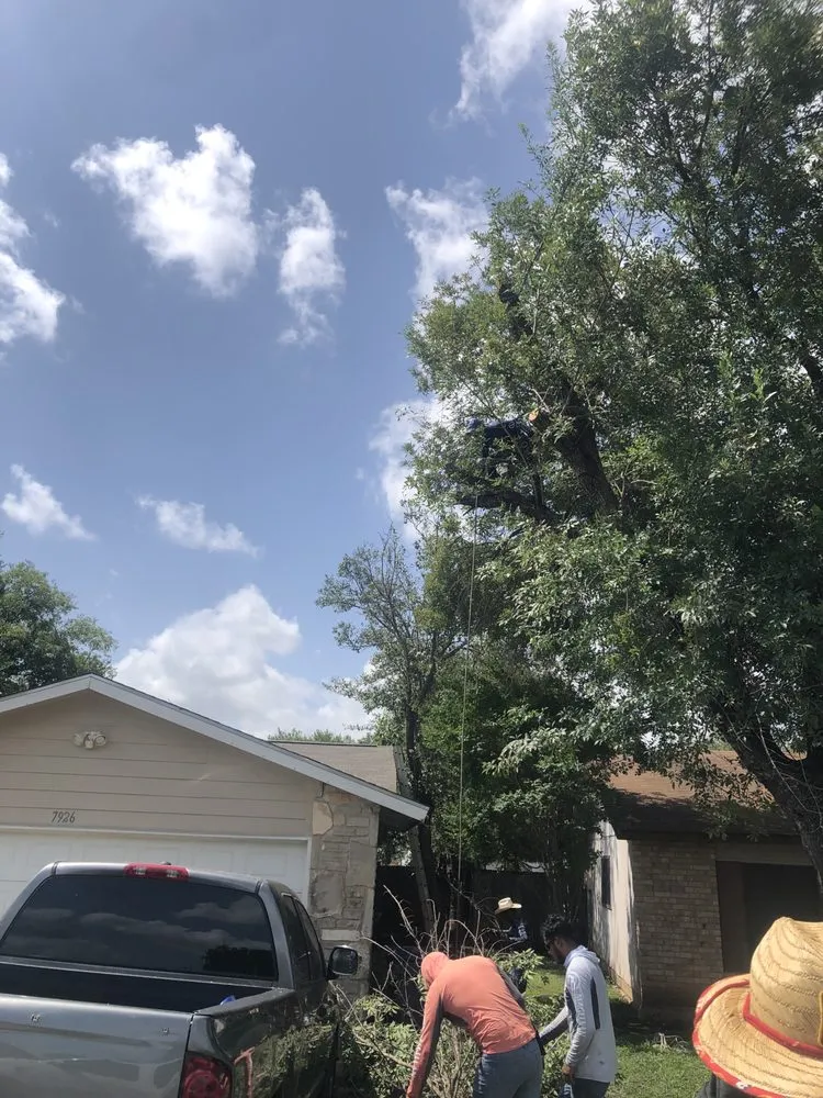 Custom landscaping services experts serving Live Oak, TX - Simon Does