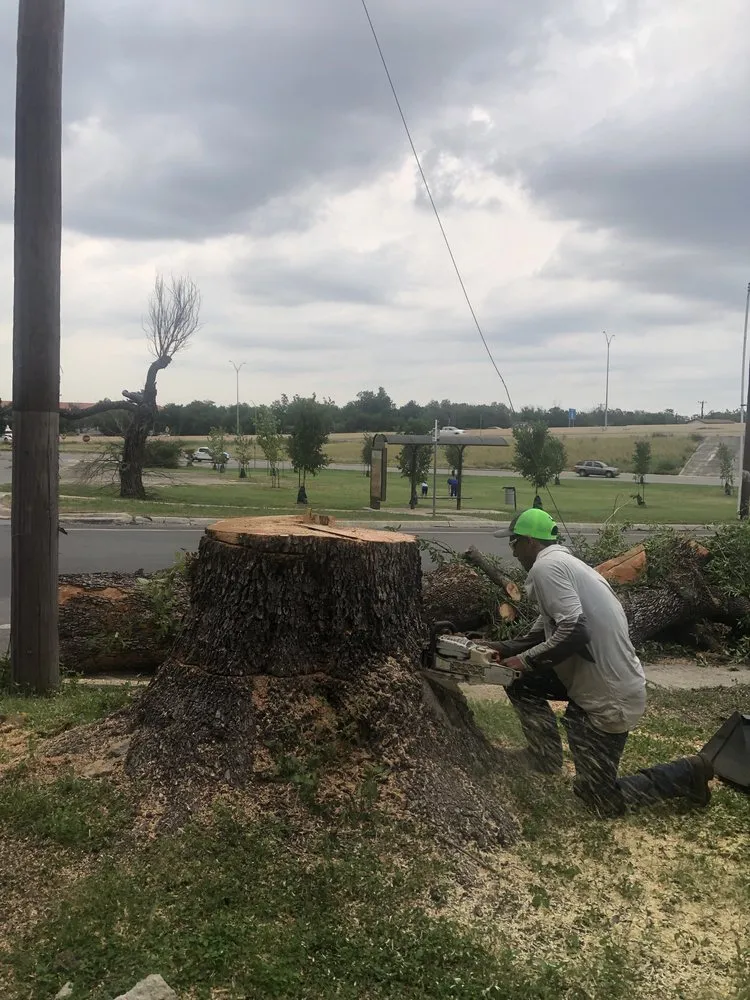 Trusted landscape installation in Live Oak, TX by Simon Does