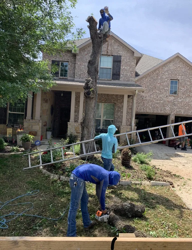 Professional yard cleanup service for beautiful yards in Live Oak, TX by Simon Does