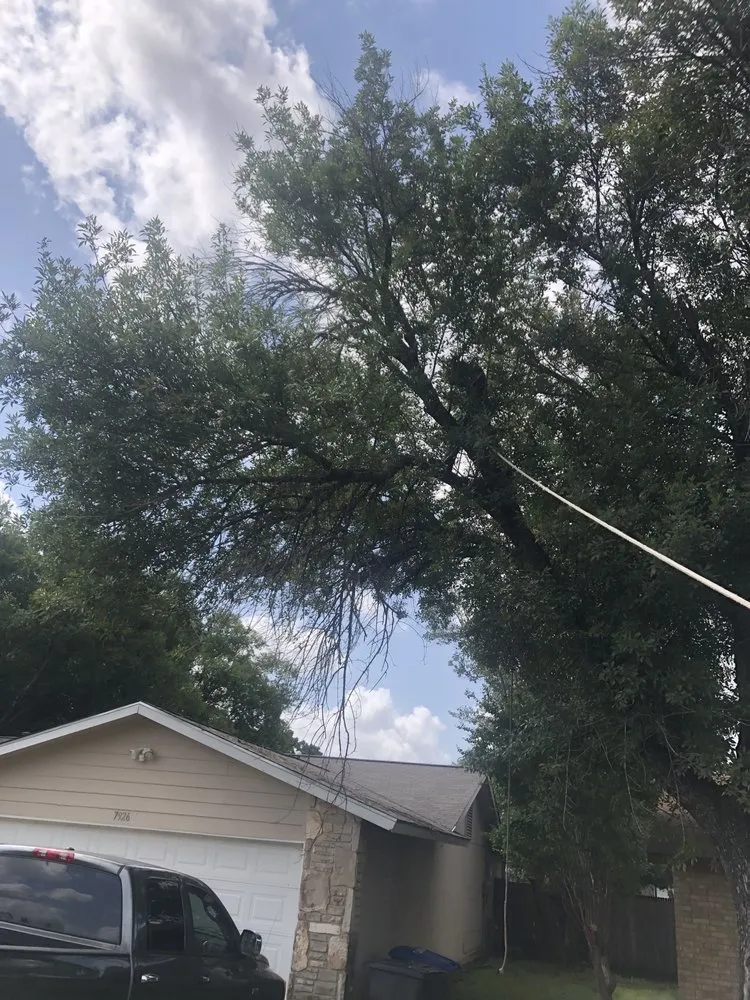 Local outdoor landscaping in Live Oak, TX - Simon Does