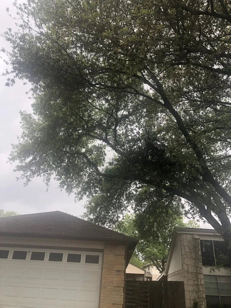 Trusted landscaping services for beautiful yards in Live Oak, TX by Simon Does