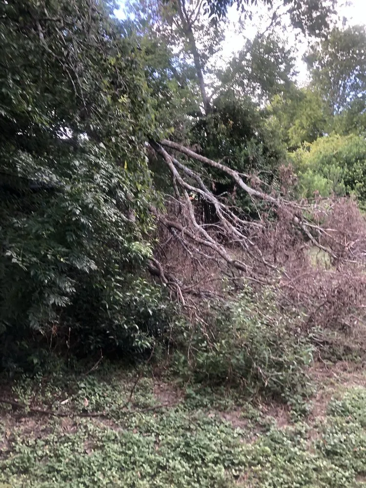 Professional lawn mowing service in Live Oak, TX - Simon Does