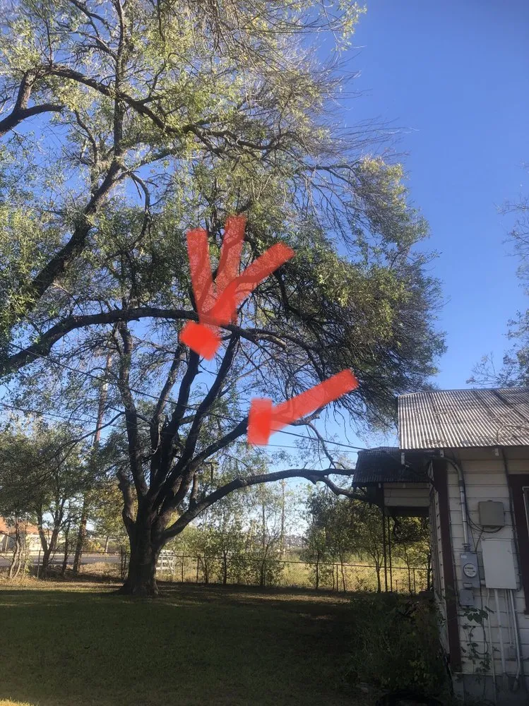 Expert lawn care service for homes in Live Oak, TX by Simon Does