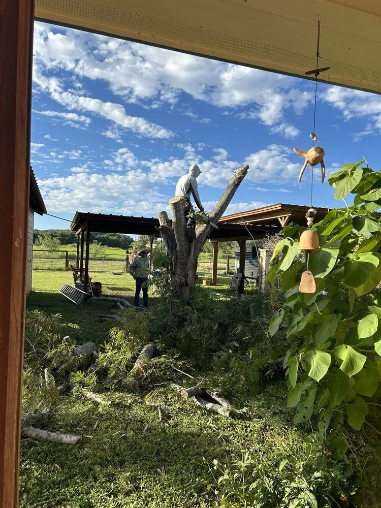 Trusted landscape design in Live Oak, TX - Simon Does