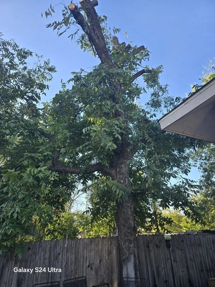 Trusted lawn mowing service experts serving Live Oak, TX - Simon Does