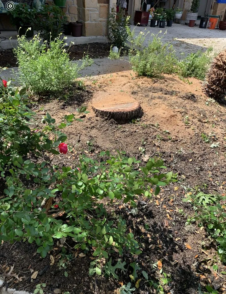 Top-rated garden landscaping in Live Oak, TX by Simon Does