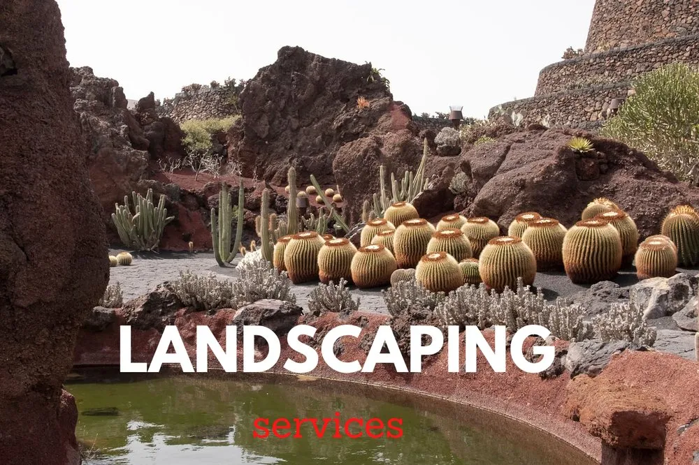 Affordable yard cleanup service in Avon, MN by Simon Lawn and Landscaping