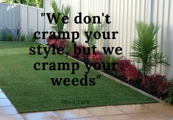 Reliable landscaping services for beautiful yards across Avon, MN - Simon Lawn and Landscaping