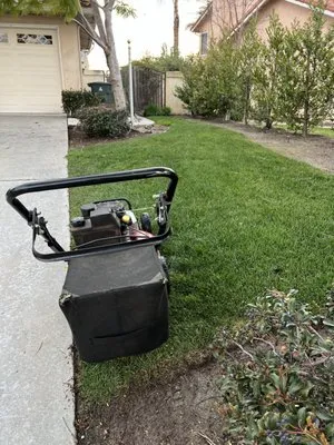 Simon Mateo Landscaping Logo