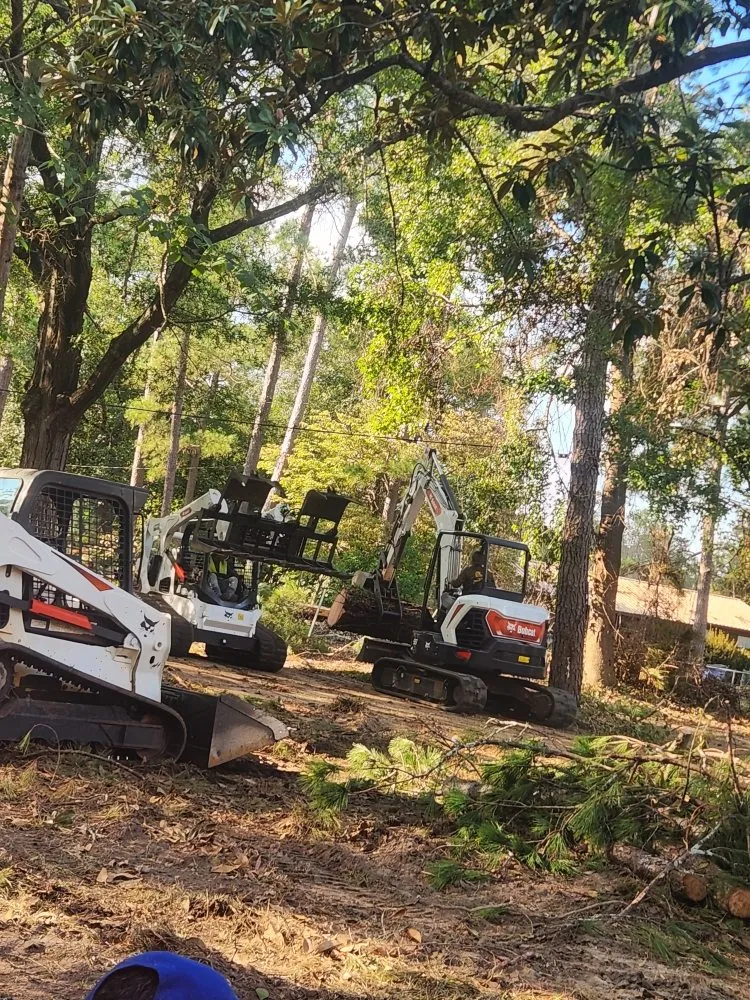 Expert landscape installation in Carrollton, GA - Simon Ramos Landscaping & Tree Service