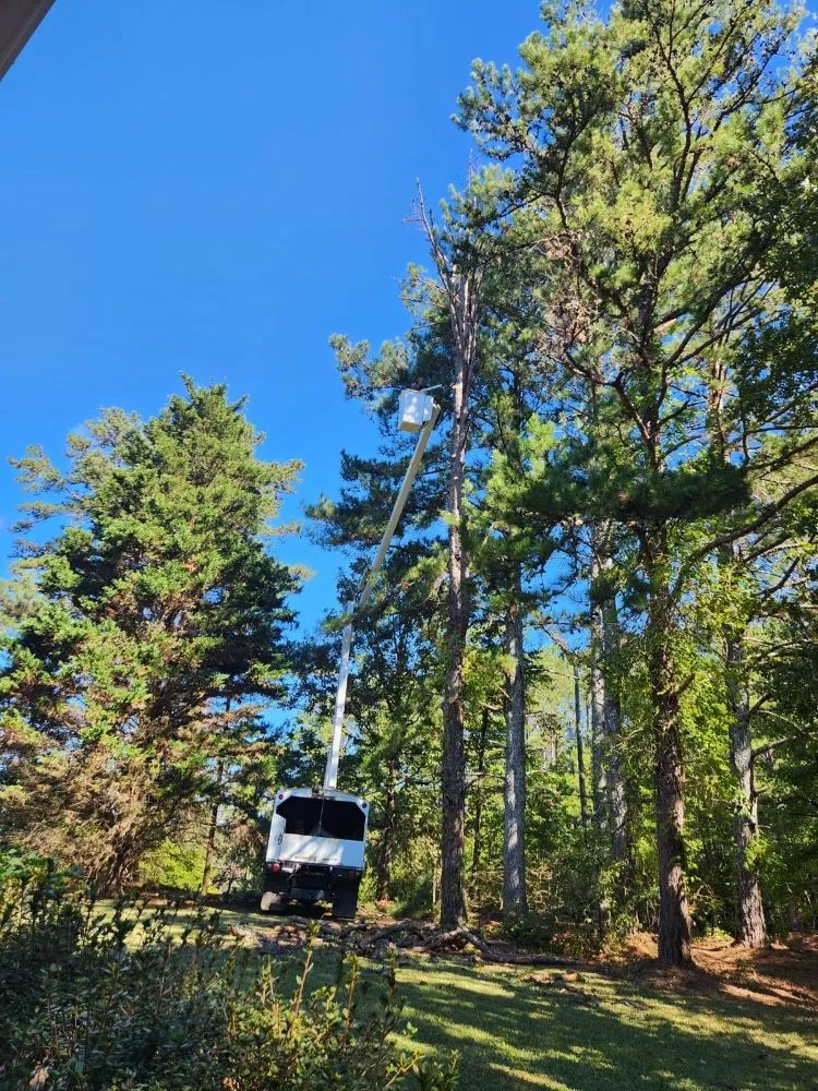 Professional landscape design for homes in Carrollton, GA by Simon Ramos Landscaping & Tree Service