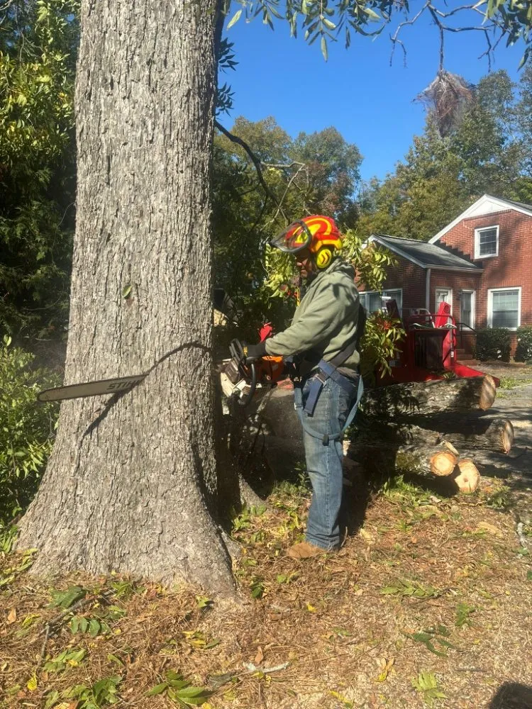 Local landscaping services experts serving Carrollton, GA - Simon Ramos Landscaping & Tree Service