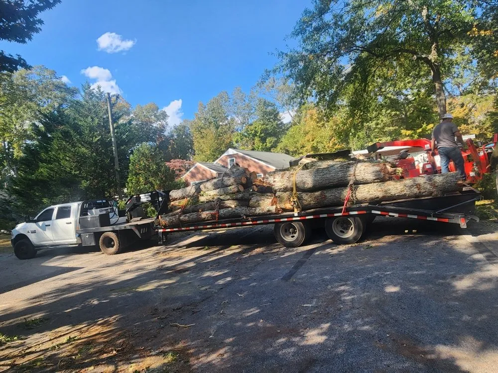 Affordable landscaping services in Carrollton, GA by Simon Ramos Landscaping & Tree Service