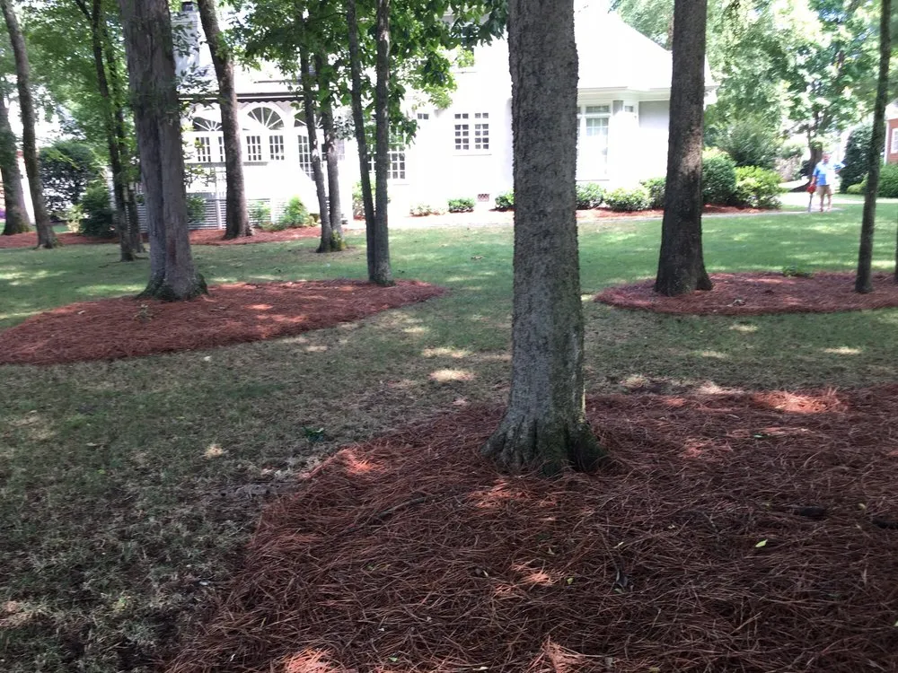Trusted garden landscaping experts serving Pageland, SC - Simon Robinson Landscaping