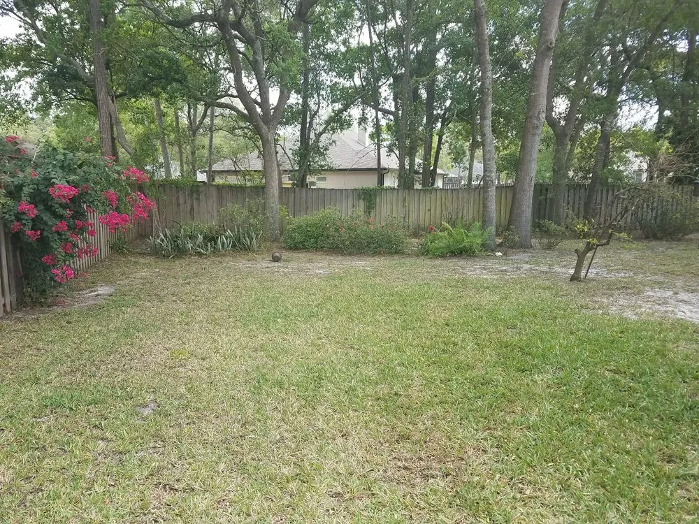 Professional lawn care service with custom design in Jacksonville, FL by Simon Says Landscaping