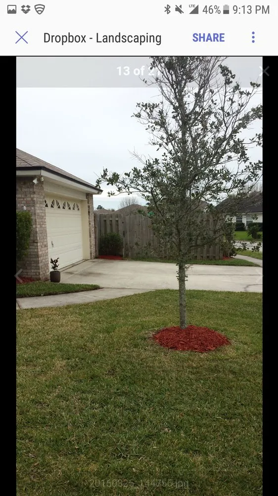 Professional yard maintenance in Jacksonville, FL - Simon Says Landscaping