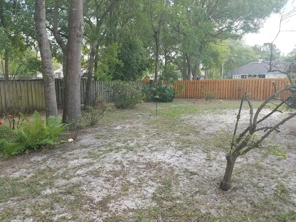 Top-rated yard cleanup service for outdoor upgrades in Jacksonville, FL by Simon Says Landscaping