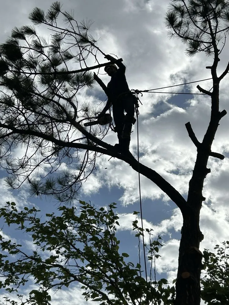 Professional landscape installation experts serving Euless, TX - Simon Says Services