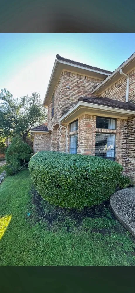 Expert yard cleanup service in Euless, TX by Simon Says Services