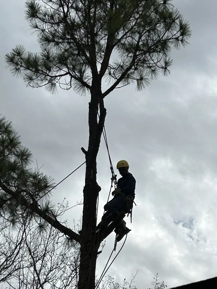 Custom landscaping services in Euless, TX by Simon Says Services