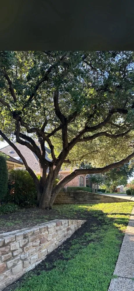 Trusted landscape design with custom design in Euless, TX by Simon Says Services