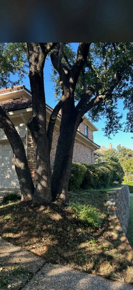 Trusted garden landscaping for year-round maintenance across Euless, TX - Simon Says Services