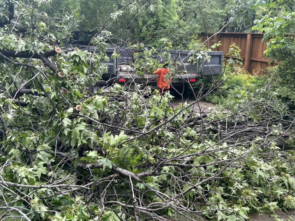 Trusted landscaping services experts serving Euless, TX - Simon Says Services