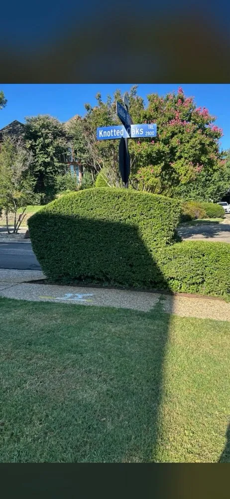 Custom landscape installation in Euless, TX by Simon Says Services