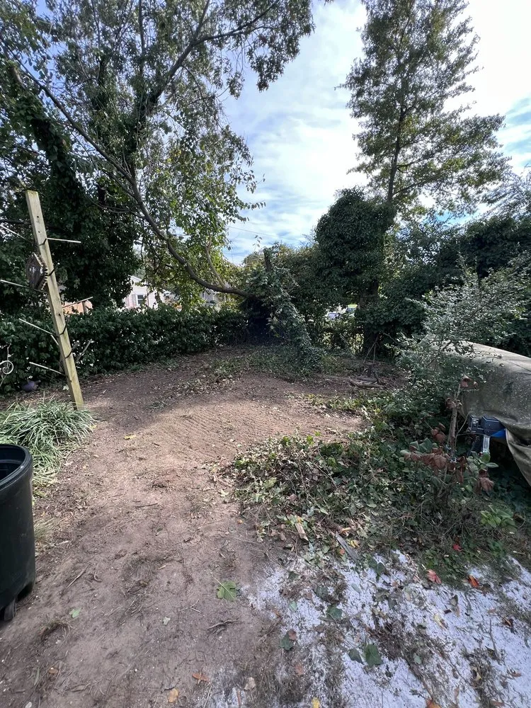 Local yard maintenance in Benedict, MD by Simonds