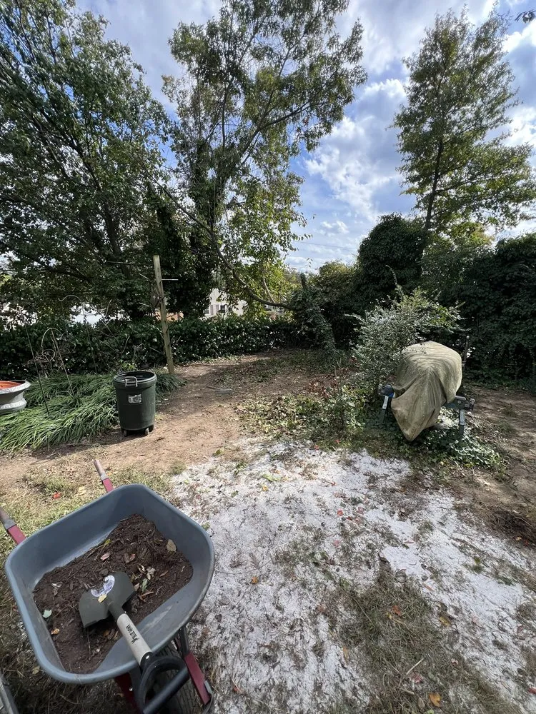 Trusted lawn care service for outdoor upgrades across Benedict, MD - Simonds