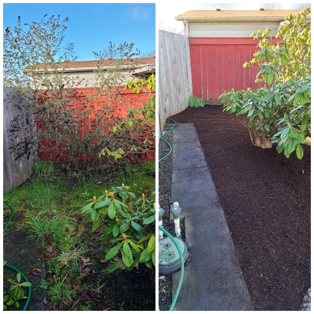 Affordable yard maintenance in Springfield, OR by Simons & Funk Pressure Washing