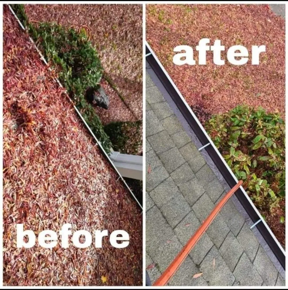 Expert yard maintenance with custom design across Springfield, OR - Simons & Funk Pressure Washing
