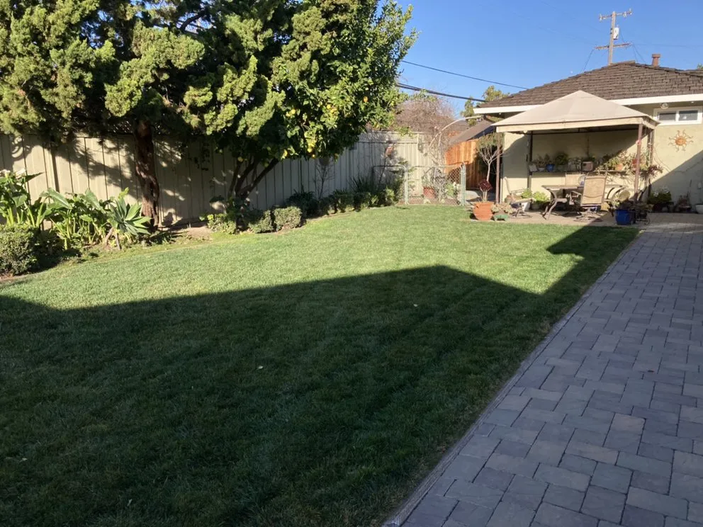 Local residential landscaping in Los Banos, CA - Simon’s Landscape & Maintenance