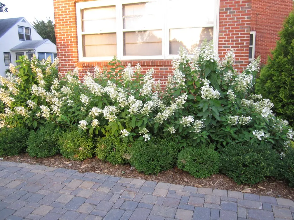 Top-rated lawn mowing service experts serving South Saint Paul, MN - Simons Landscaping