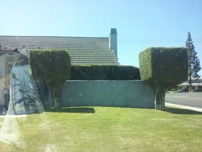 Custom landscape installation in Long Beach, CA - Simon's Lawn Services