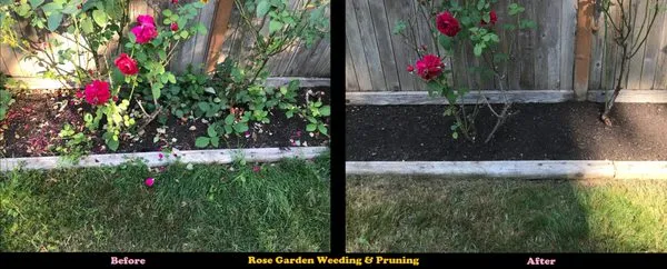 Simple 1 Solutions Logo