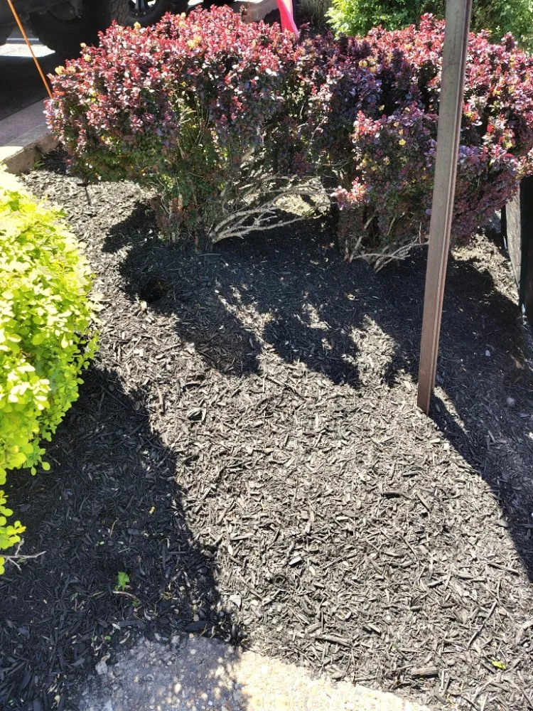 Custom yard maintenance in Reston, VA - Simple Care Home Service