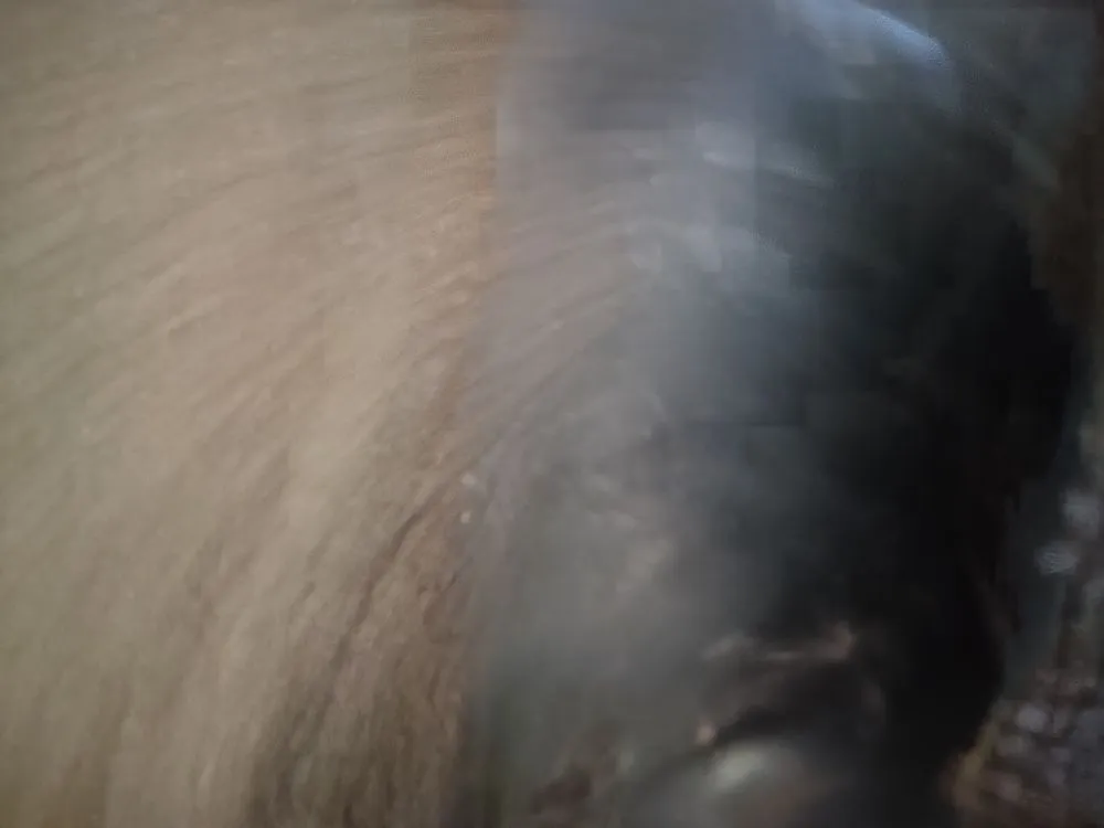 Reliable yard cleanup service in Reston, VA by Simple Care Home Service