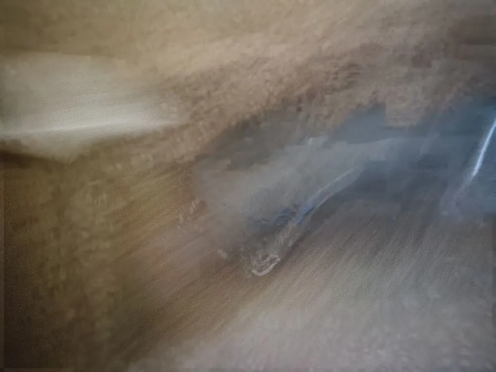 Professional landscape design for year-round maintenance in Reston, VA by Simple Care Home Service