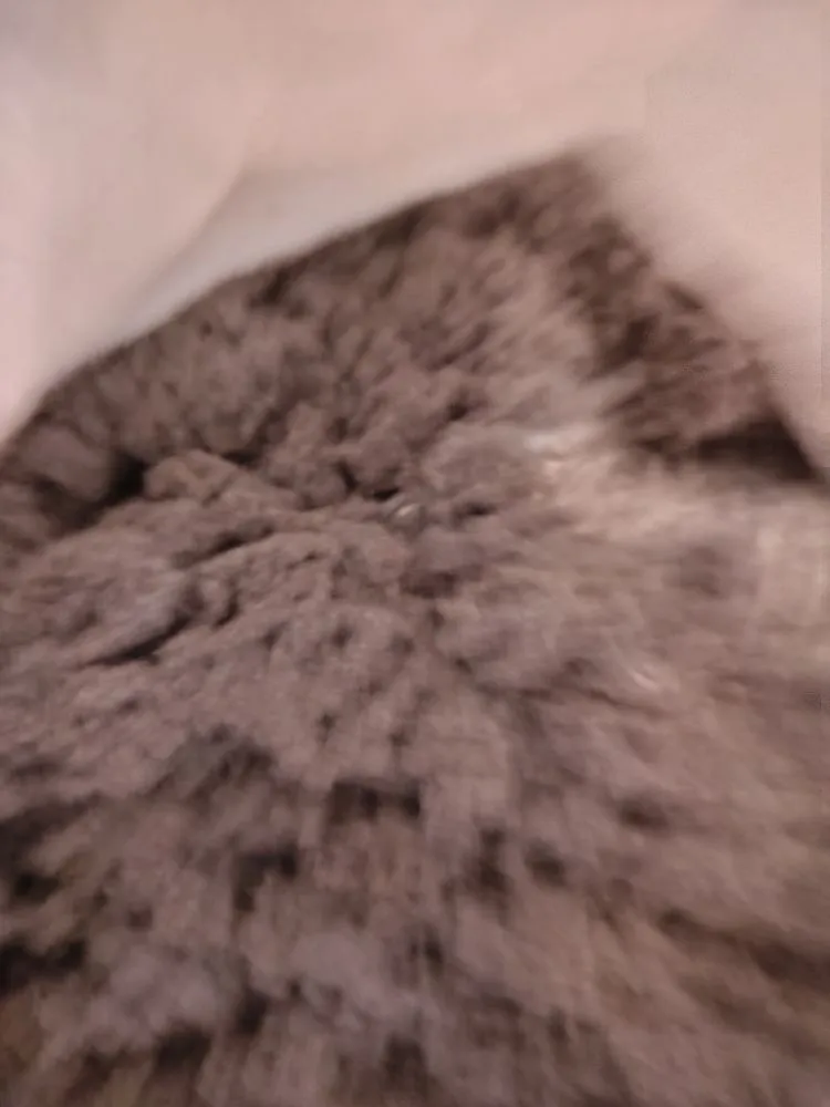 Local landscape design near you across Reston, VA - Simple Care Home Service