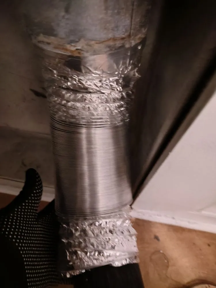 Professional yard cleanup service in Reston, VA by Simple Care Home Service