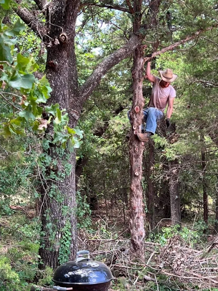 Professional residential landscaping in Guthrie, OK by Simple Cut Lawn Care