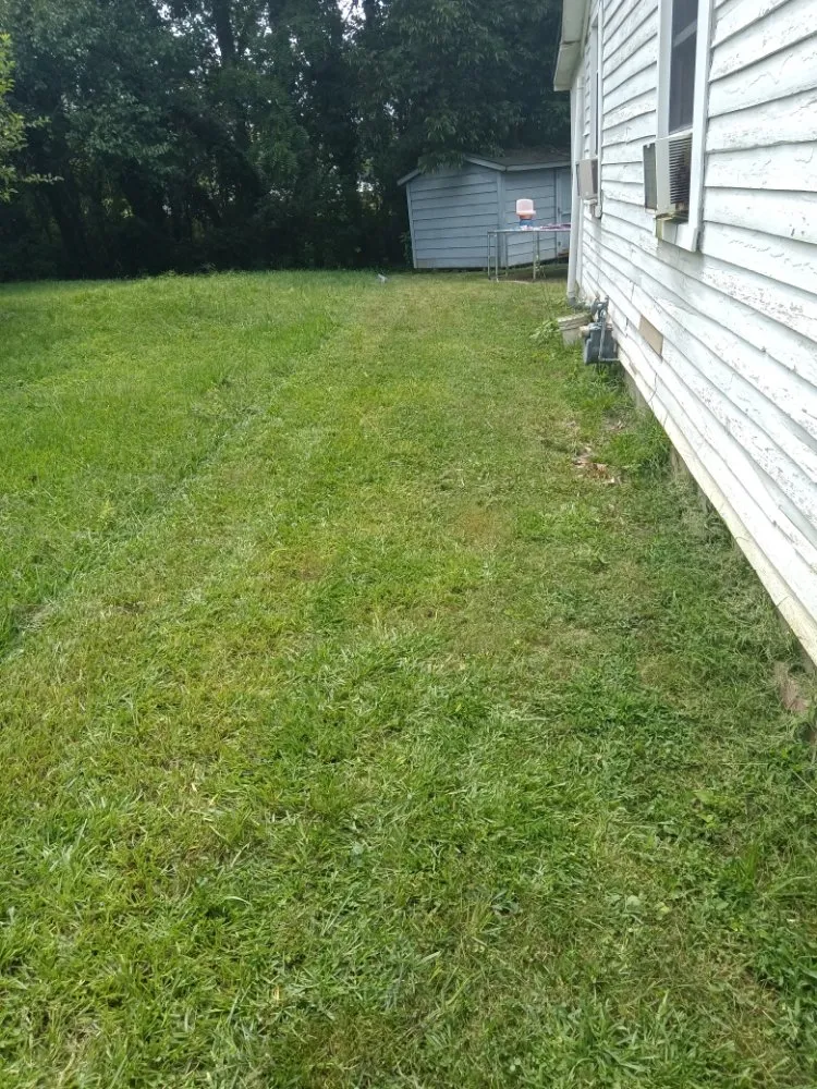 Affordable lawn mowing service in Kings Mountain, NC by Simple Cuts Landscaping