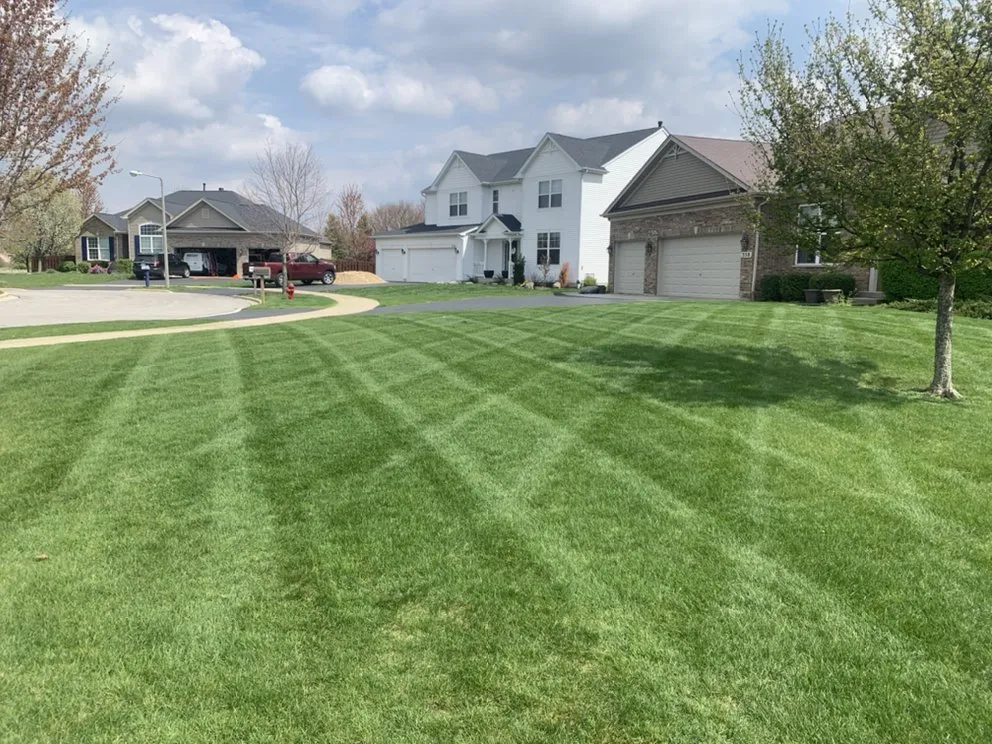 Professional landscape installation in Plano, IL - Simple Cuts Lawn and Landscaping