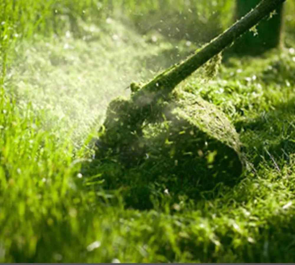 Expert outdoor landscaping in Spartanburg, SC by Simple Cuts Spartanburg