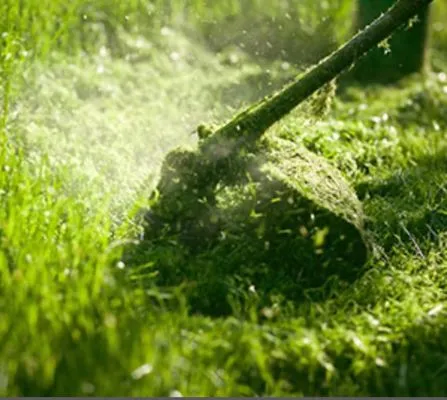 Simple Cuts Spartanburg Logo