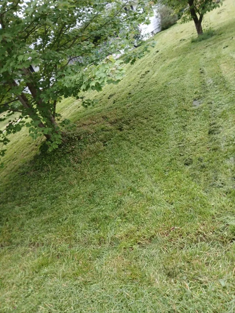 Trusted lawn mowing service experts serving Mount Sterling, KY - Simple Eastern Cuts